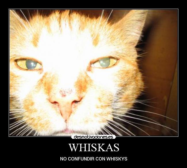 WHISKAS -