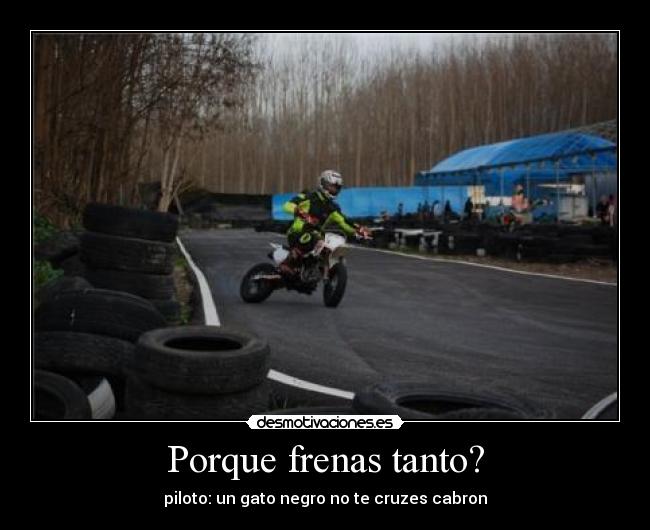 carteles piloto moto frena gato desmotivaciones