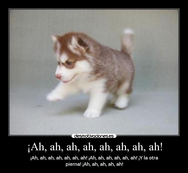¡Ah, ah, ah, ah, ah, ah, ah, ah! -
