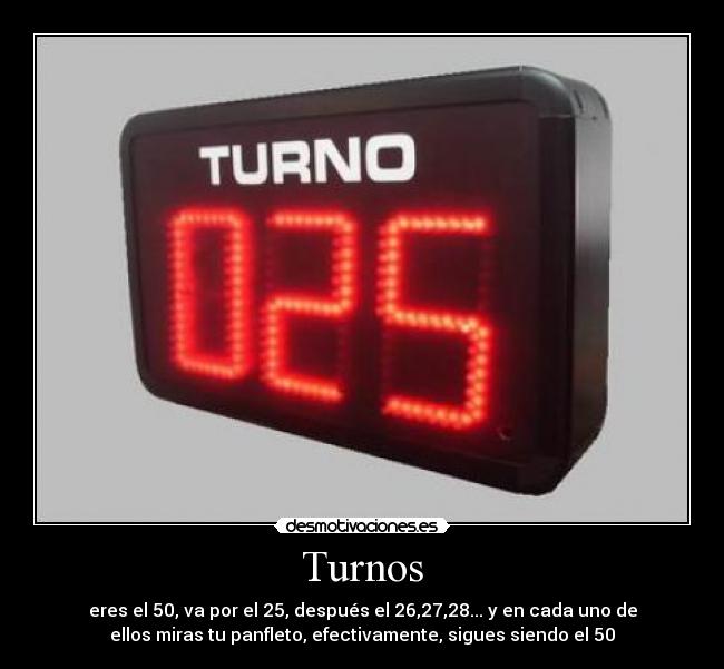 Turnos -