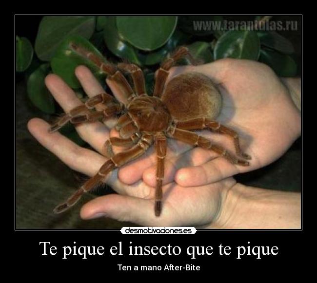 Te pique el insecto que te pique - 