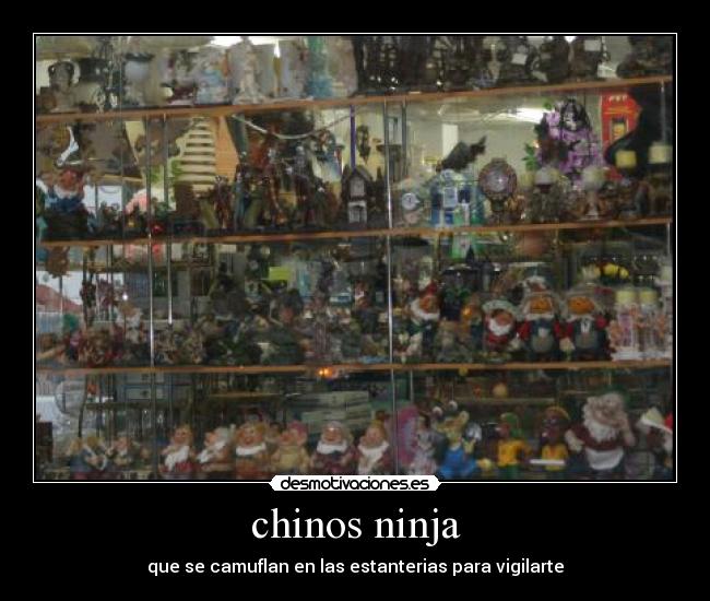 chinos ninja - que se camuflan en las estanterias para vigilarte