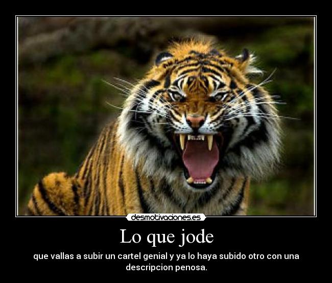 carteles owned desmotivaciones