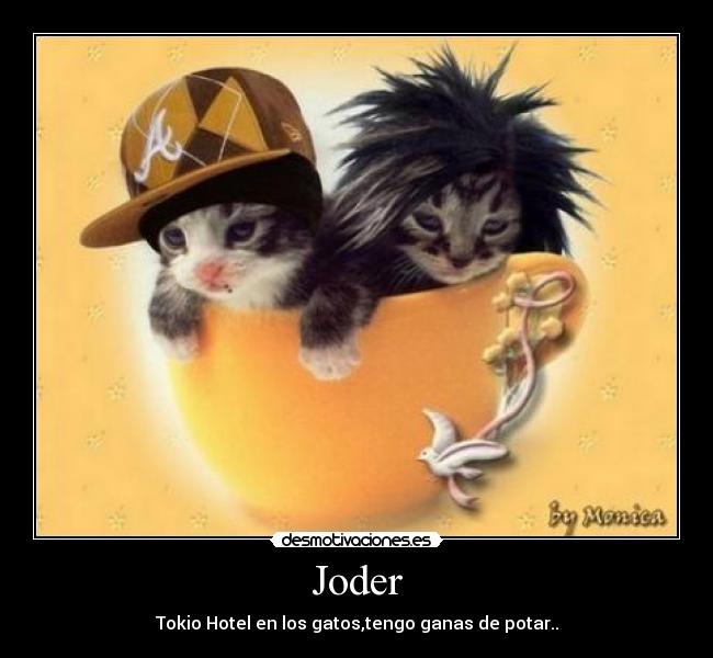 carteles felinos desmotivaciones