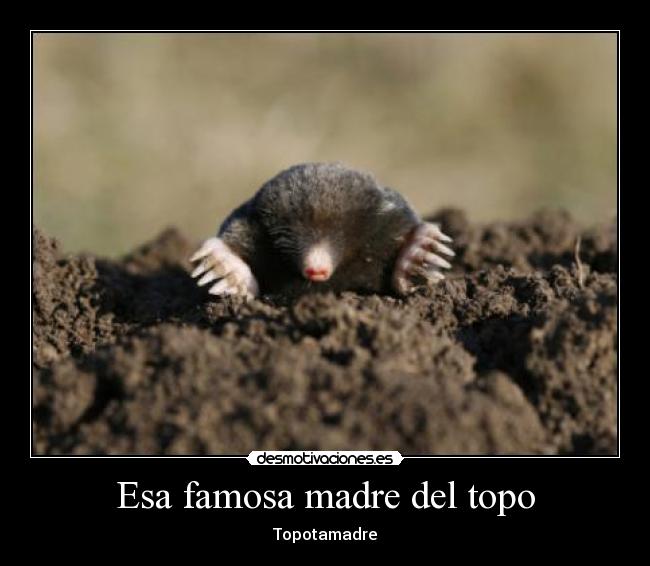 Esa famosa madre del topo - Topotamadre