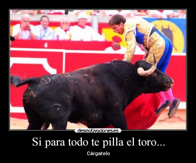Si para todo te pilla el toro... - 