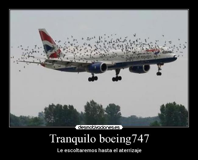 Tranquilo boeing747 -