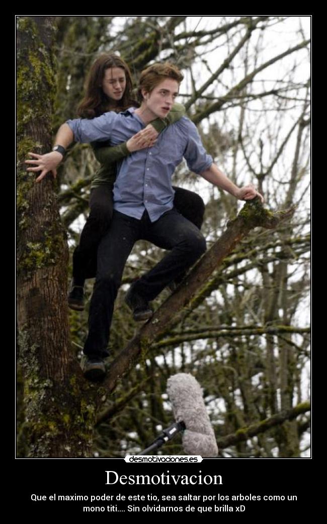 carteles edward cullen crepusculo brillo salto mono titi desmotivaciones