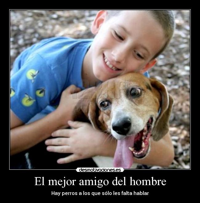 El mejor amigo del hombre - Hay perros a los que sólo les falta hablar