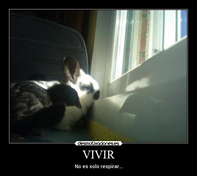 VIVIR -