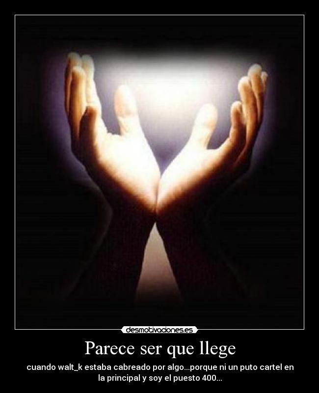 Parece ser que llege - 