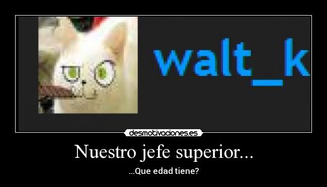 Nuestro jefe superior... -