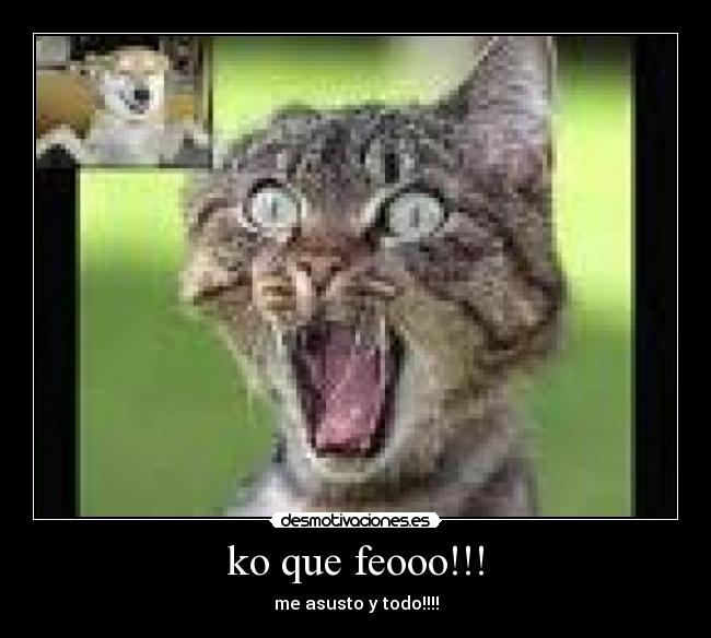 ko que feooo!!! - 