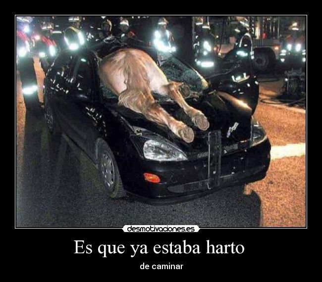 Es que ya estaba harto -