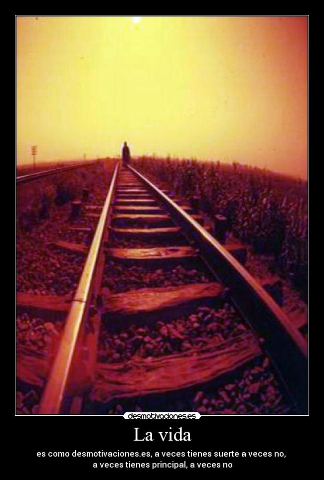carteles vida vida desmotivacioneses pelenagolden desmotivaciones