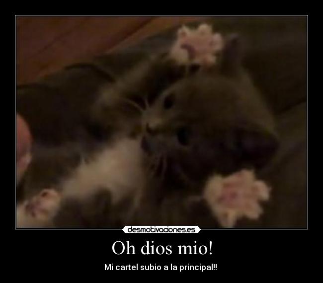 Oh dios mio! - Mi cartel subio a la principal!!