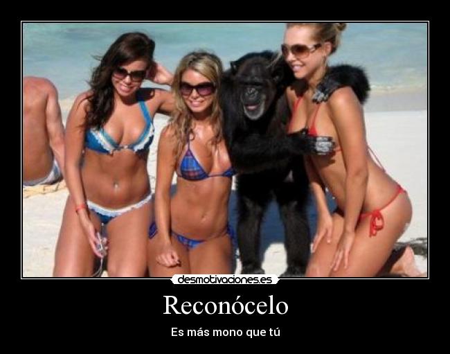 Reconócelo -