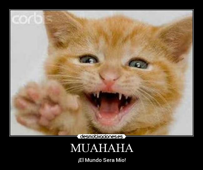 http://img.desmotivaciones.es/201011/Videoschistososdegatos.jpg