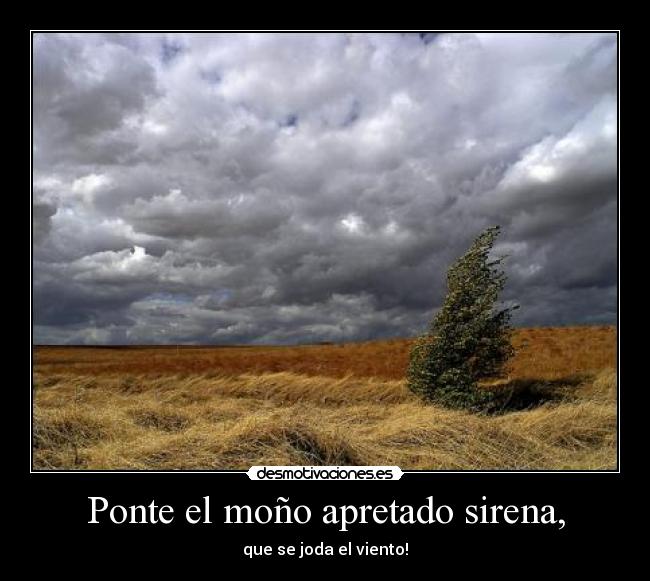 Ponte el moño apretado sirena, - que se joda el viento!
