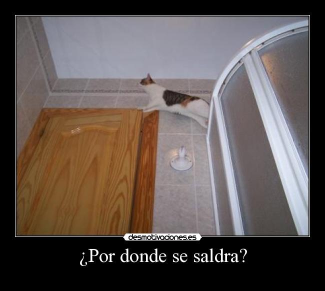 ¿Por donde se saldra? -