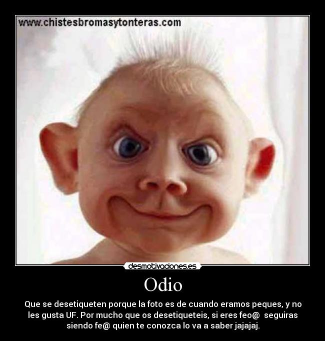 Odio - 