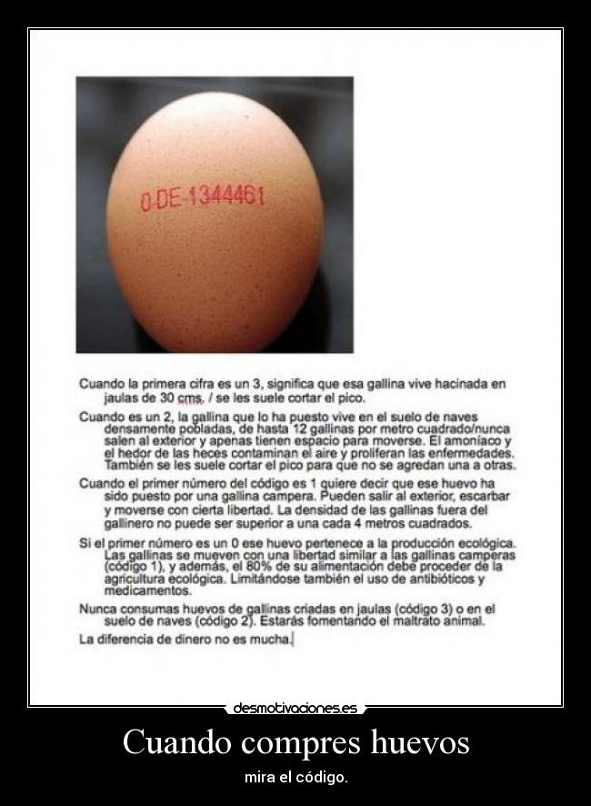 Cuando compres huevos - mira el código.