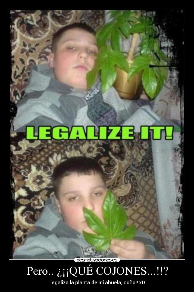 Pero.. ¿¡¡QUÉ COJONES...!!? -