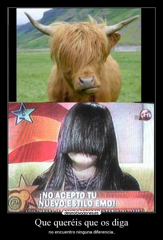 Que queréis que os diga -