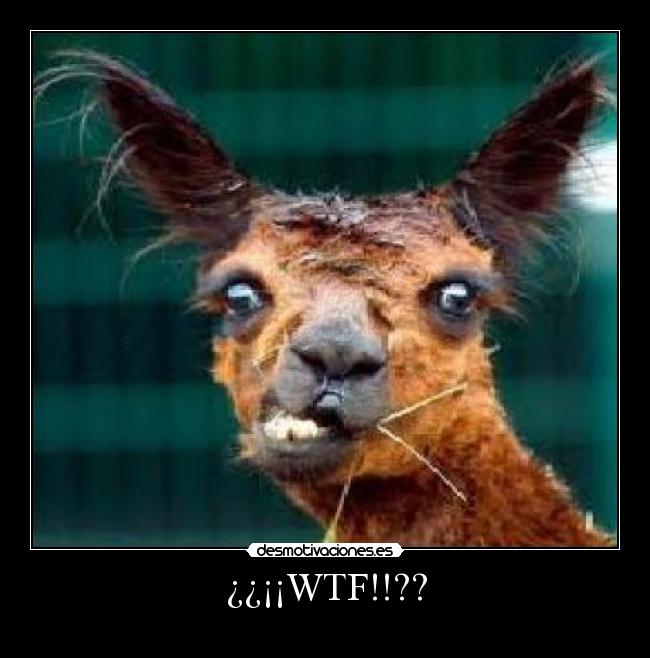 ¿¿¡¡WTF!!?? - 