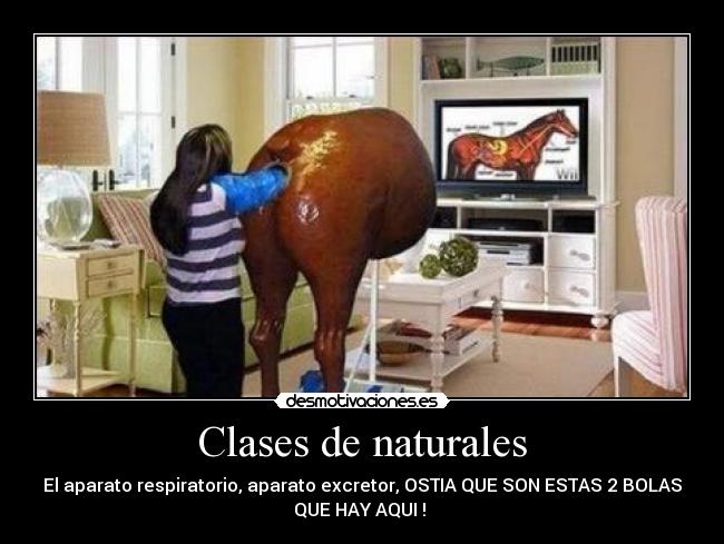Clases de naturales - El aparato respiratorio, aparato excretor, OSTIA QUE SON ESTAS 2 BOLAS
QUE HAY AQUI !