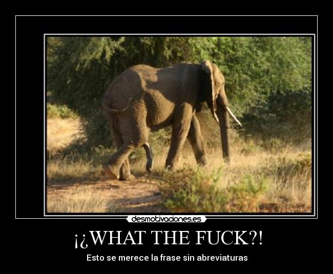 ¡¿WHAT THE FUCK?! -
