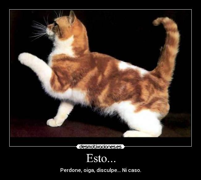 Esto... - 