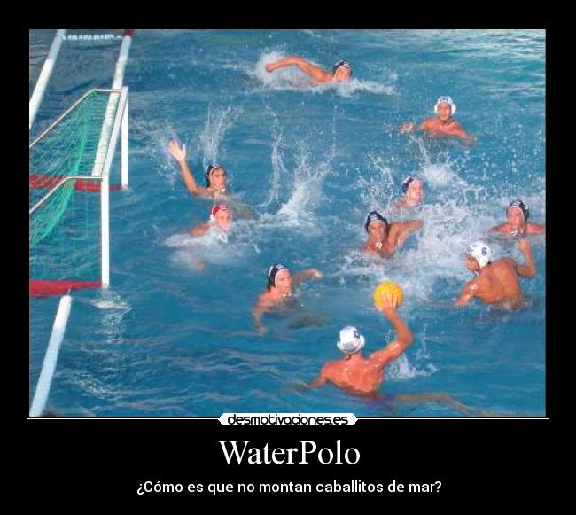 WaterPolo -
