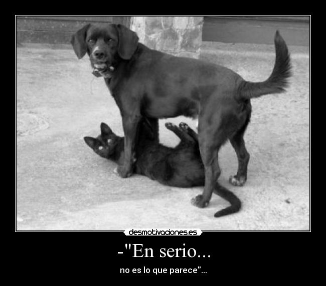 -En serio... - no es lo que parece...