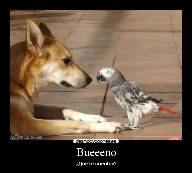 Bueeeno - ¿Qué te cuentas?