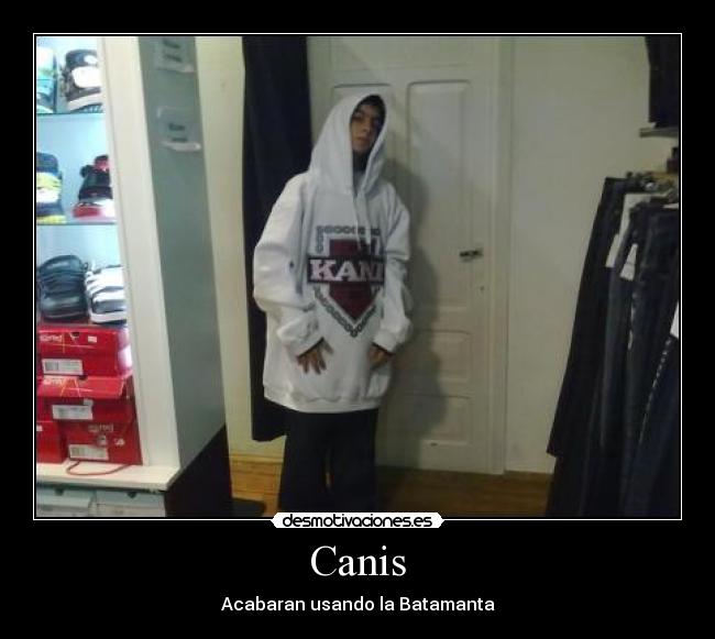 Canis -