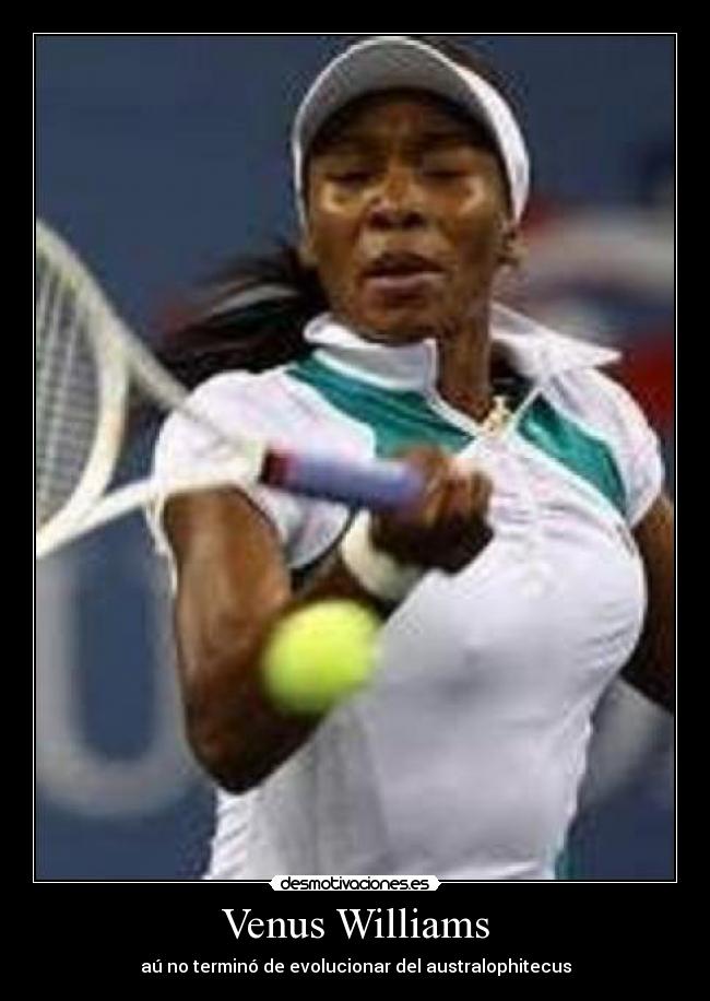 carteles venus williams desmotivaciones