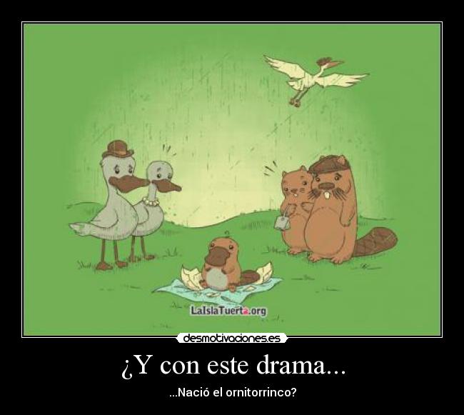 ¿Y con este drama... -