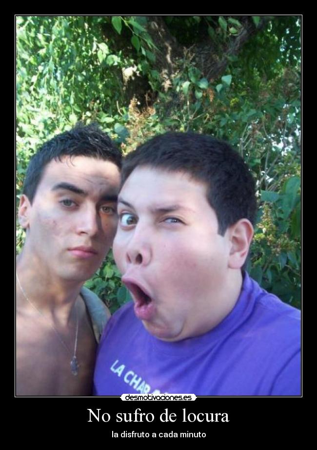 carteles locura locura disfruto desmotivaciones