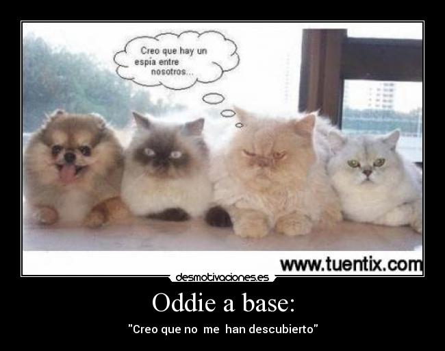 Oddie a base: -