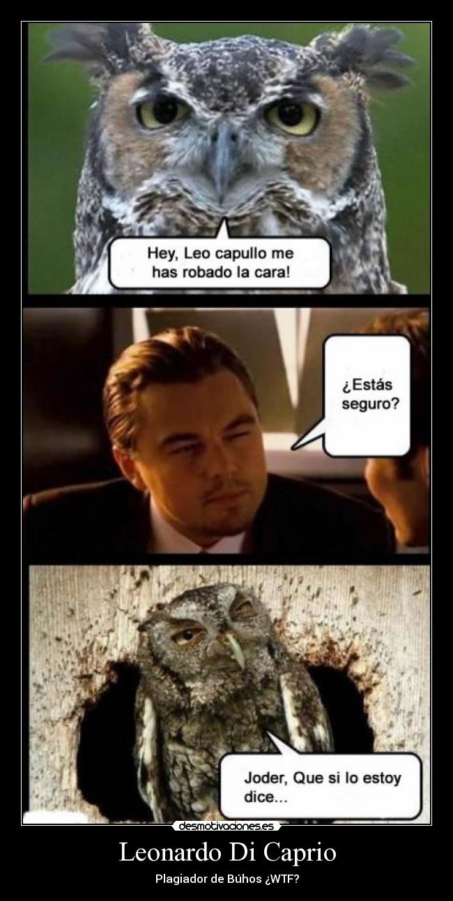 Leonardo Di Caprio - Plagiador de Búhos ¿WTF?