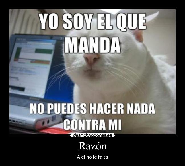 Razón - 