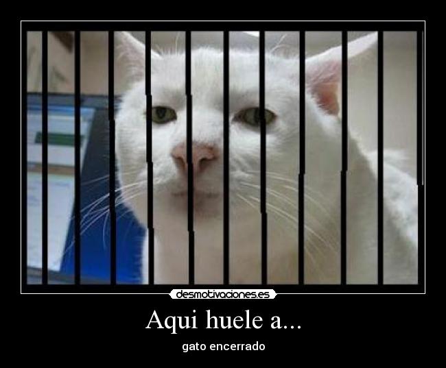 Aqui huele a... - 
