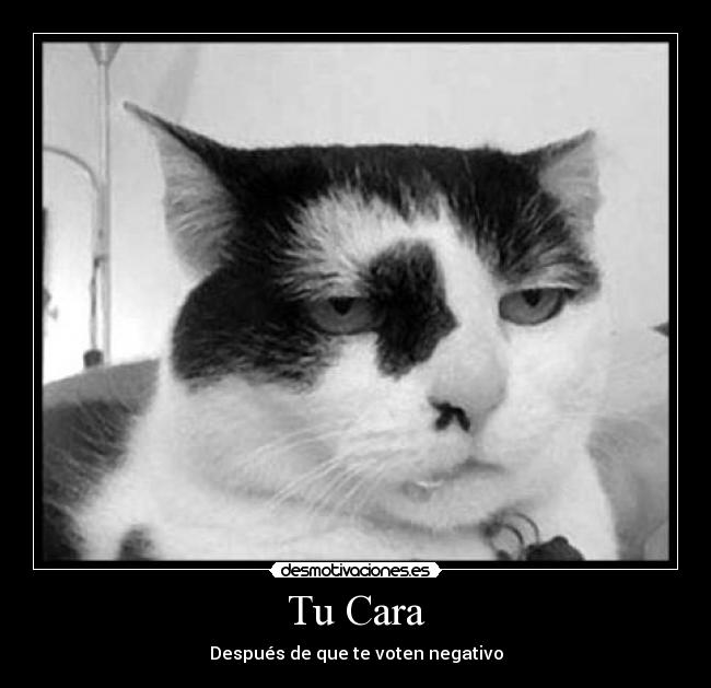 Tu Cara - Después de que te voten negativo