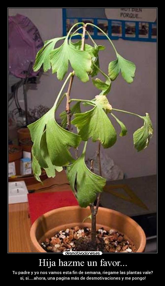 carteles plantas desmotivaciones