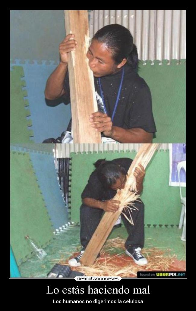 Lo estás haciendo mal -