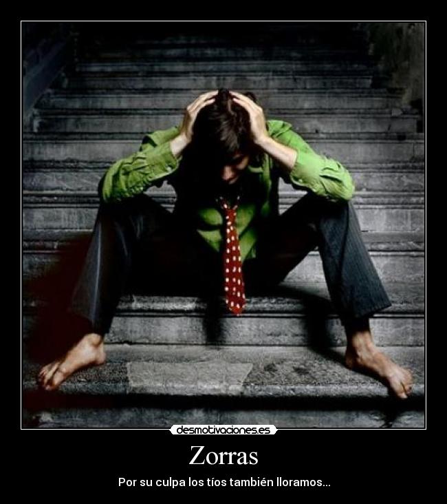 carteles zorras tios maltrato llorar desamor desmotivaciones