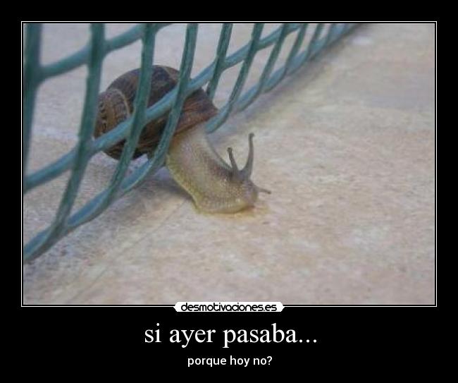 si ayer pasaba... - porque hoy no?