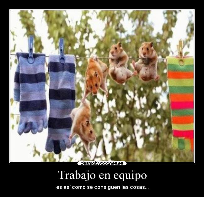Trabajo en equipo - es así como se consiguen las cosas...