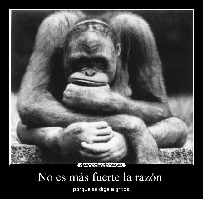No es más fuerte la razón -
